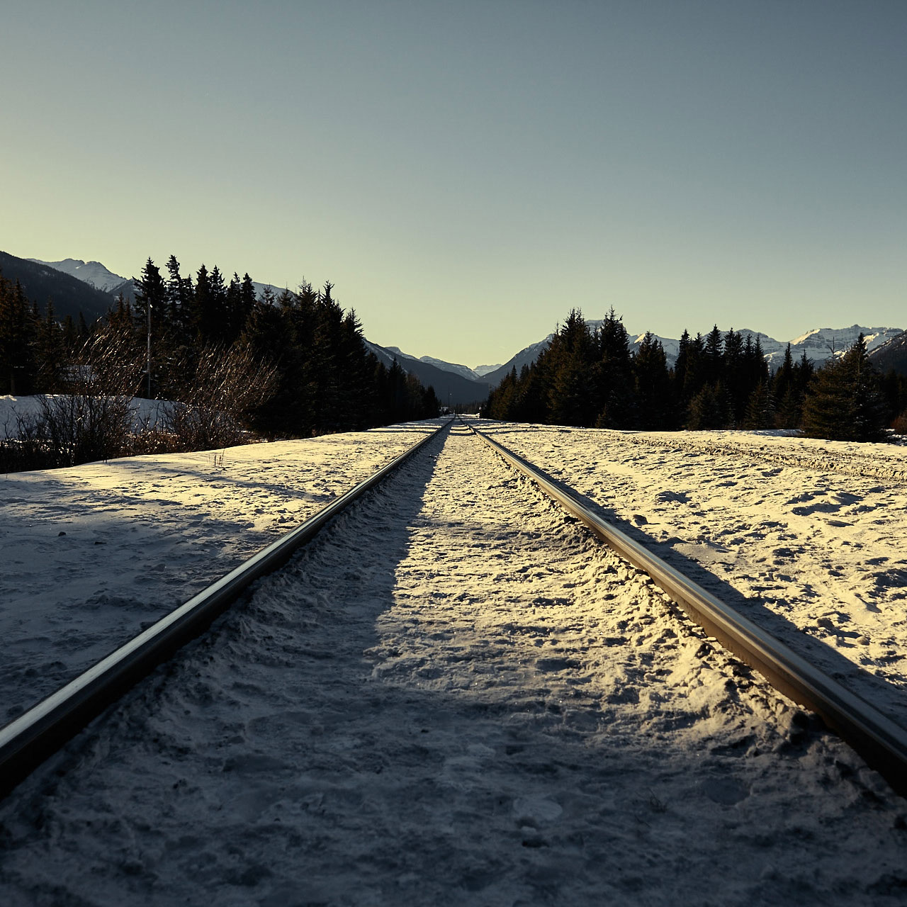 BANFF